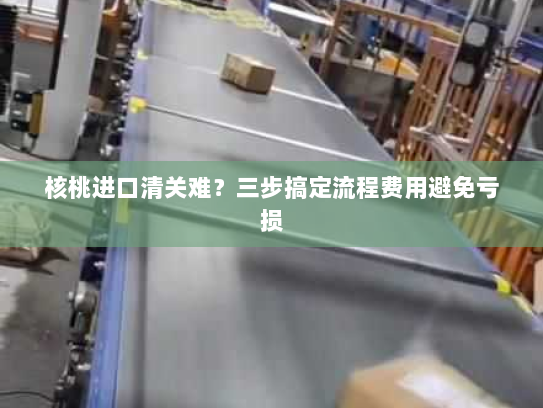 核桃进口清关难？三步搞定流程费用避免亏损