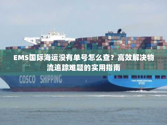 EMS国际海运没有单号怎么查?高效解决物流追踪难题的实用指南 EMS国际海运没有单号怎么查?高效解决物流追踪难题的实用指南