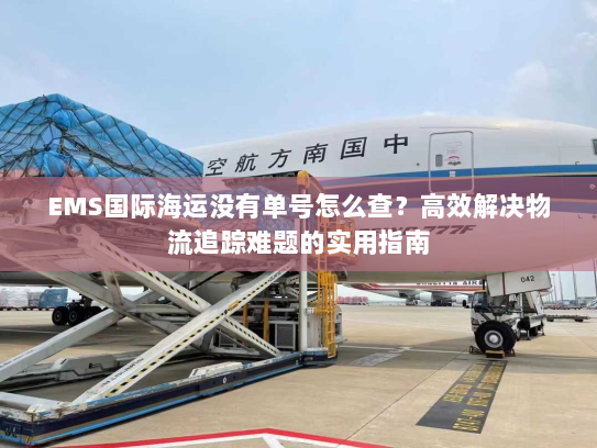 EMS国际海运没有单号怎么查?高效解决物流追踪难题的实用指南 EMS国际海运没有单号怎么查?高效解决物流追踪难题的实用指南