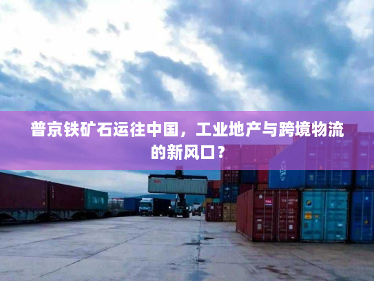 普京铁矿石运往中国,工业地产与跨境物流的新风口? 普京铁矿石运往中国,工业地产与跨境物流的新风口?