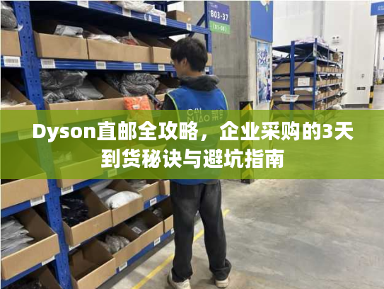 Dyson直邮全攻略，企业采购的3天到货秘诀与避坑指南