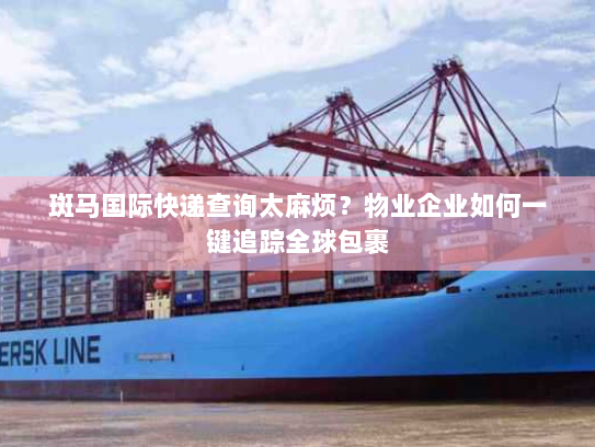 斑马国际快递查询太麻烦？物业企业如何一键追踪全球包裹