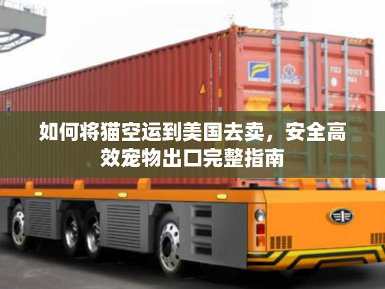 如何将猫空运到美国去卖，安全高效宠物出口完整指南