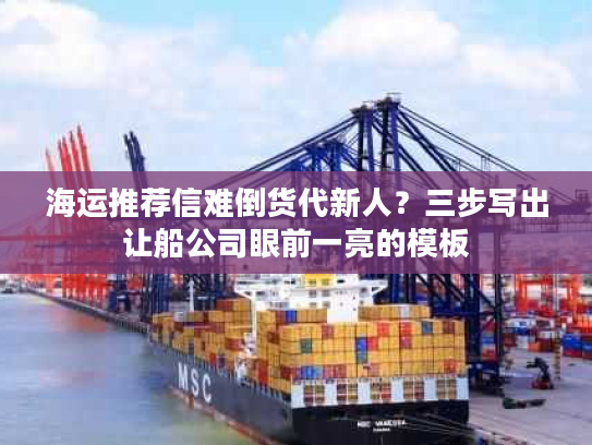 海运推荐信难倒货代新人？三步写出让船公司眼前一亮的模板