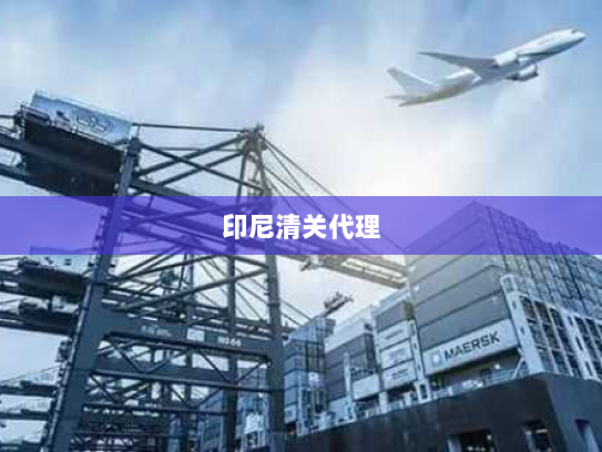 印尼清关代理