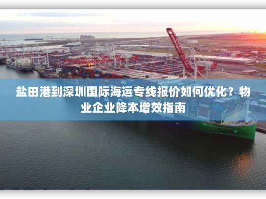 盐田港到深圳国际海运专线报价如何优化?物业企业降本增效指南 盐田港到深圳国际海运专线报价如何优化?物业企业降本增效指南