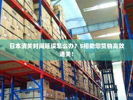 日本清关时间延误怎么办?5招助您货物高效通关! 日本清关时间延误怎么办?5招助您货物高效通关!