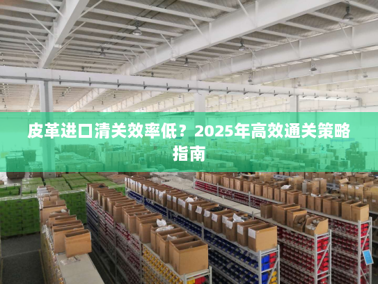 皮革进口清关效率低?2025年高效通关策略指南 皮革进口清关效率低?2025年高效通关策略指南