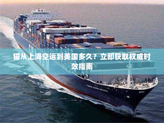 猫从上海空运到美国多久?立即获取权威时效指南 猫从上海空运到美国多久?立即获取权威时效指南
