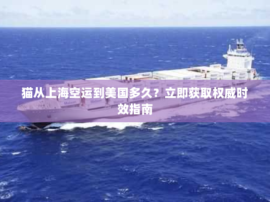 猫从上海空运到美国多久?立即获取权威时效指南 猫从上海空运到美国多久?立即获取权威时效指南