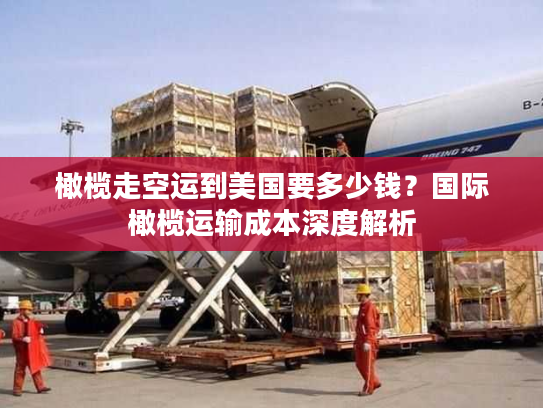 橄榄走空运到美国要多少钱?国际橄榄运输成本深度解析 橄榄走空运到美国要多少钱?国际橄榄运输成本深度解析