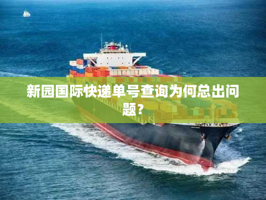 新园国际快递单号查询为何总出问题？