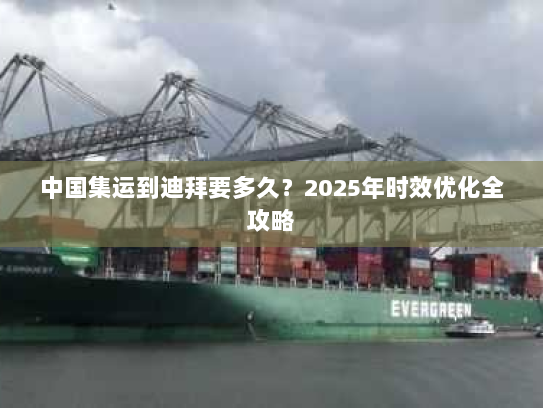 中国集运到迪拜要多久？2025年时效优化全攻略