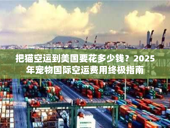 把猫空运到美国要花多少钱?2025年宠物国际空运费用终极指南 把猫空运到美国要花多少钱?2025年宠物国际空运费用终极指南