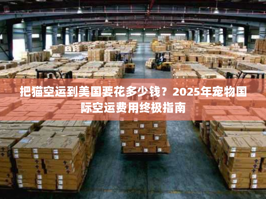 把猫空运到美国要花多少钱？2025年宠物国际空运费用终极指南