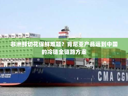 非洲鲜切花保鲜难题?肯尼亚产品运到中国的冷链全链路方案 非洲鲜切花保鲜难题?肯尼亚产品运到中国的冷链全链路方案