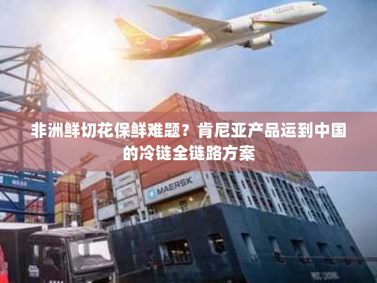 非洲鲜切花保鲜难题?肯尼亚产品运到中国的冷链全链路方案 非洲鲜切花保鲜难题?肯尼亚产品运到中国的冷链全链路方案