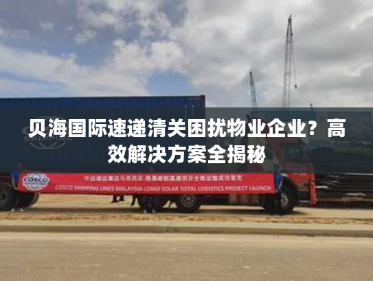 贝海国际速递清关困扰物业企业？高效解决方案全揭秘