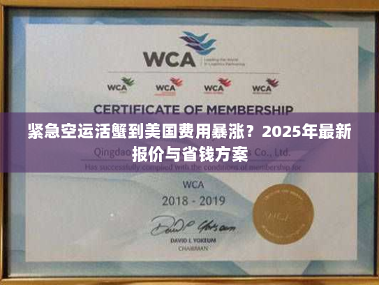 紧急空运活蟹到美国费用暴涨?2025年最新报价与省钱方案 紧急空运活蟹到美国费用暴涨?2025年最新报价与省钱方案