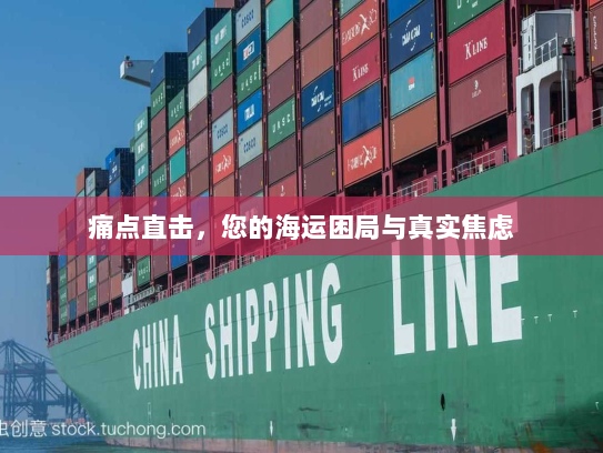 痛点直击,您的海运困局与真实焦虑 痛点直击,您的海运困局与真实焦虑
