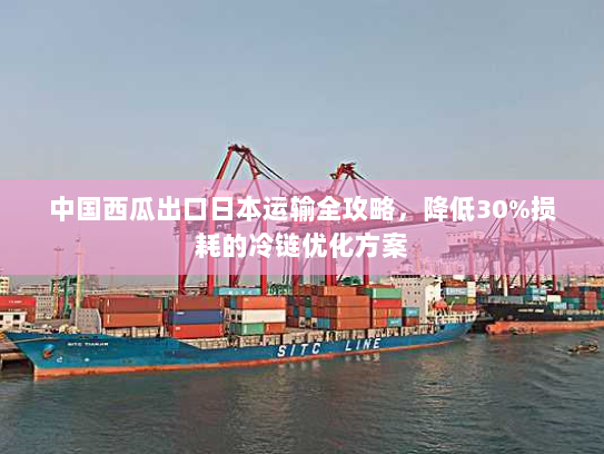 中国西瓜出口日本运输全攻略，降低30%损耗的冷链优化方案