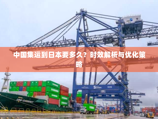 中国集运到日本要多久？时效解析与优化策略