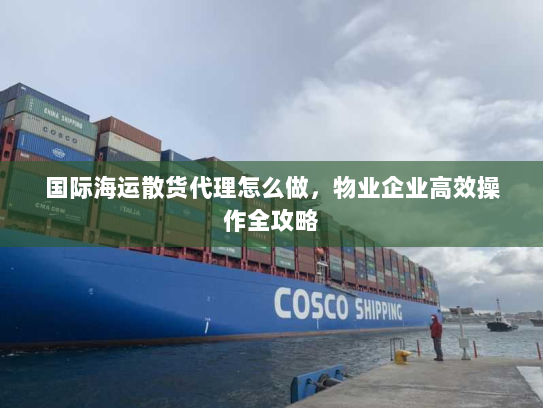 国际海运散货代理怎么做，物业企业高效操作全攻略