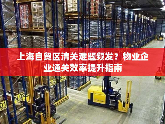 上海自贸区清关难题频发？物业企业通关效率提升指南