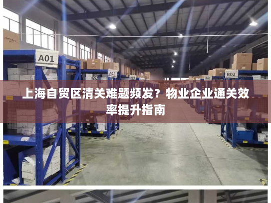 上海自贸区清关难题频发？物业企业通关效率提升指南