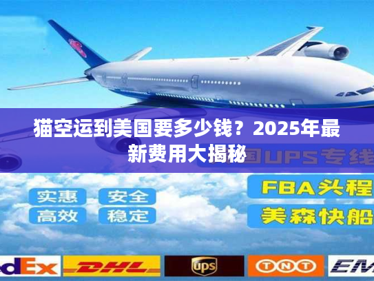 猫空运到美国要多少钱?2025年最新费用大揭秘 猫空运到美国要多少钱?2025年最新费用大揭秘