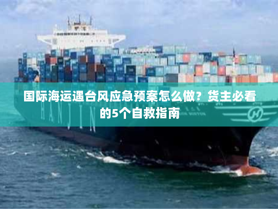 国际海运遇台风应急预案怎么做？货主必看的5个自救指南