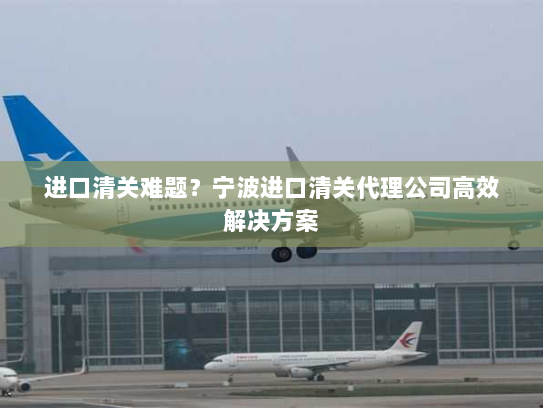 进口清关难题？宁波进口清关代理公司高效解决方案