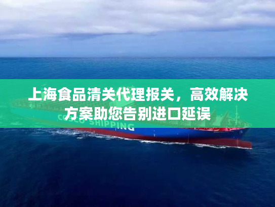 上海食品清关代理报关，高效解决方案助您告别进口延误