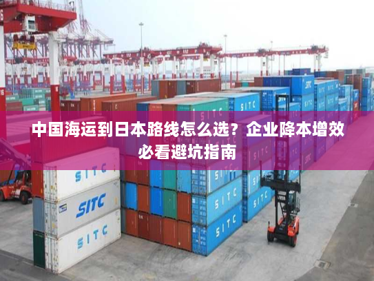 中国海运到日本路线怎么选?企业降本增效必看避坑指南 中国海运到日本路线怎么选?企业降本增效必看避坑指南