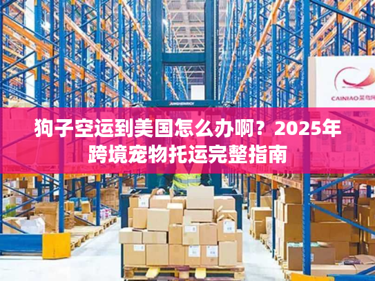 狗子空运到美国怎么办啊?2025年跨境宠物托运完整指南 狗子空运到美国怎么办啊?2025年跨境宠物托运完整指南