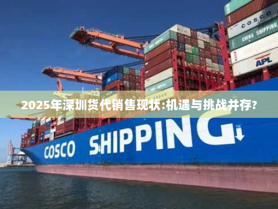 2025年深圳货代销售现状:机遇与挑战并存?