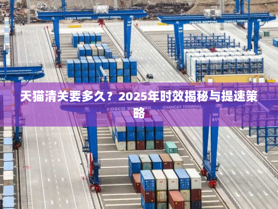 天猫清关要多久?2025年时效揭秘与提速策略 天猫清关要多久?2025年时效揭秘与提速策略