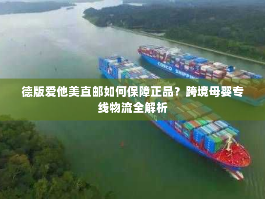 德版爱他美直邮如何保障正品?跨境母婴专线物流全解析 德版爱他美直邮如何保障正品?跨境母婴专线物流全解析