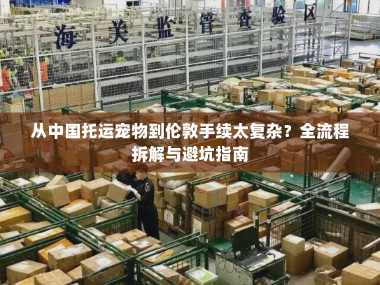 从中国托运宠物到伦敦手续太复杂?全流程拆解与避坑指南 从中国托运宠物到伦敦手续太复杂?全流程拆解与避坑指南