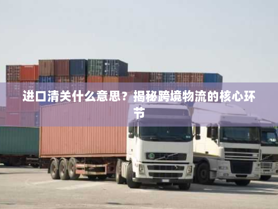 进口清关什么意思?揭秘跨境物流的核心环节 进口清关什么意思?揭秘跨境物流的核心环节