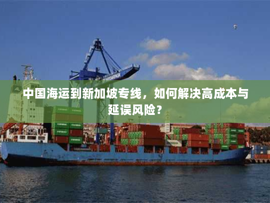 中国海运到新加坡专线，如何解决高成本与延误风险？