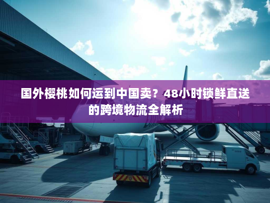 国外樱桃如何运到中国卖?48小时锁鲜直送的跨境物流全解析 国外樱桃如何运到中国卖?48小时锁鲜直送的跨境物流全解析