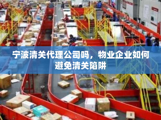 宁波清关代理公司吗，物业企业如何避免清关陷阱