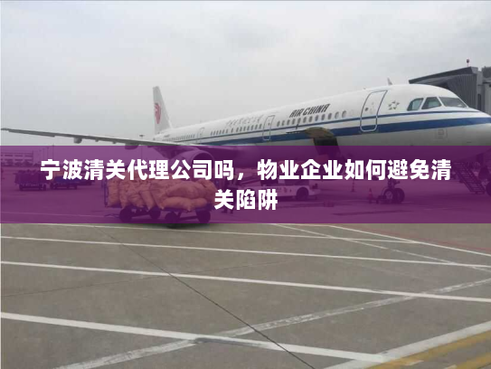 宁波清关代理公司吗,物业企业如何避免清关陷阱 宁波清关代理公司吗,物业企业如何避免清关陷阱