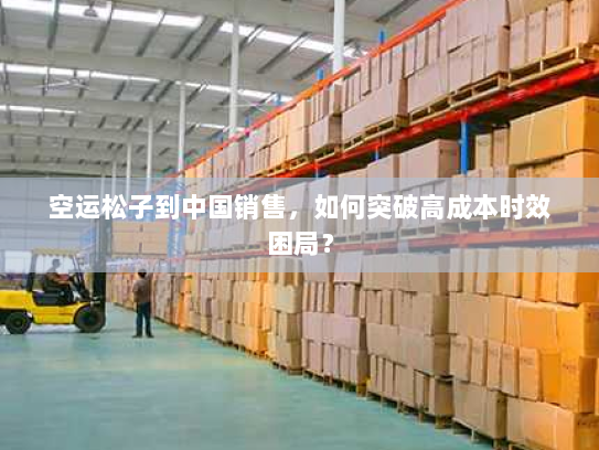 空运松子到中国销售,如何突破高成本时效困局? 空运松子到中国销售,如何突破高成本时效困局?