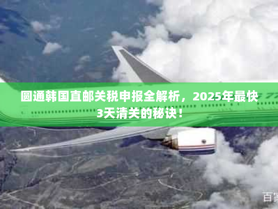 圆通韩国直邮关税申报全解析,2025年最快3天清关的秘诀! 圆通韩国直邮关税申报全解析,2025年最快3天清关的秘诀!