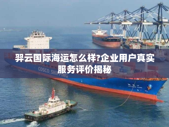 羿云国际海运怎么样?企业用户真实服务评价揭秘