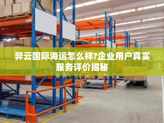 羿云国际海运怎么样?企业用户真实服务评价揭秘