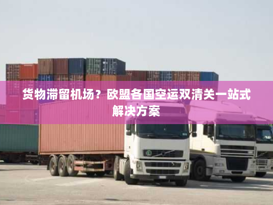 货物滞留机场?欧盟各国空运双清关一站式解决方案 货物滞留机场?欧盟各国空运双清关一站式解决方案