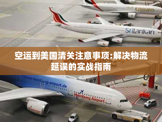 空运到美国清关注意事项:解决物流延误的实战指南